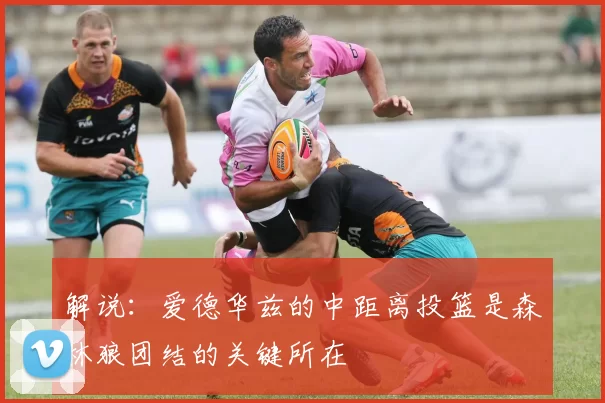 解说：爱德华兹的中距离投篮是森林狼团结的关键所在