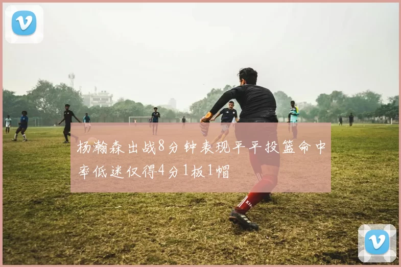 杨瀚森出战8分钟表现平平投篮命中率低迷仅得4分1板1帽